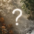 Four Seasons Mystery Box