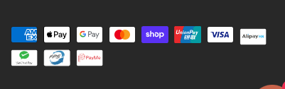 American Express, Apple Pay, Google Pay, Mastercard, Shop Pay, UnionPay, Visa, AlipayHK, WeChat Pay, FPS and PayMe